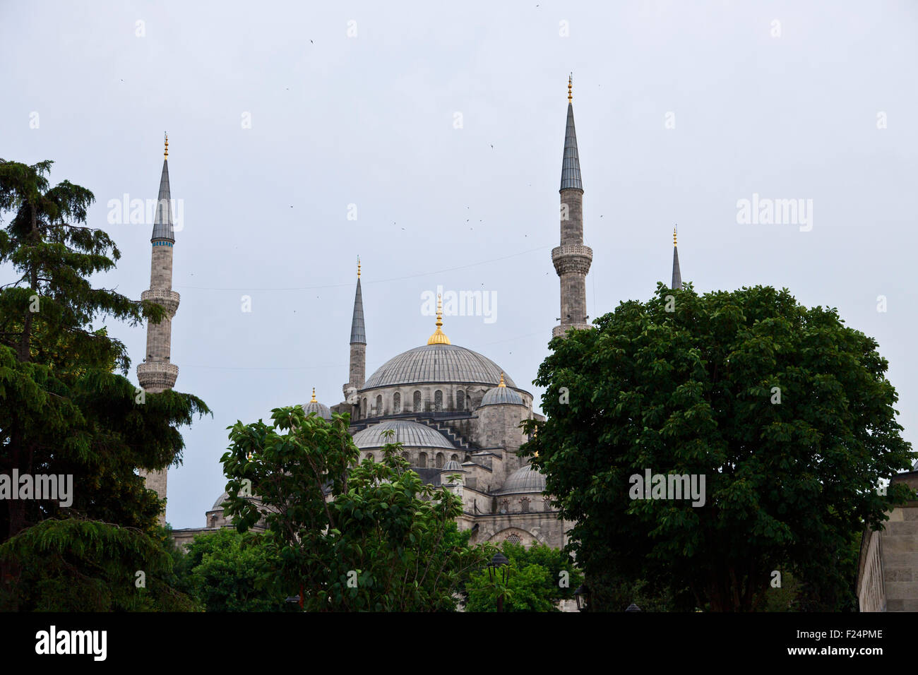 The blue mosque in Istanbul, Turkey Stock Photo - Alamy