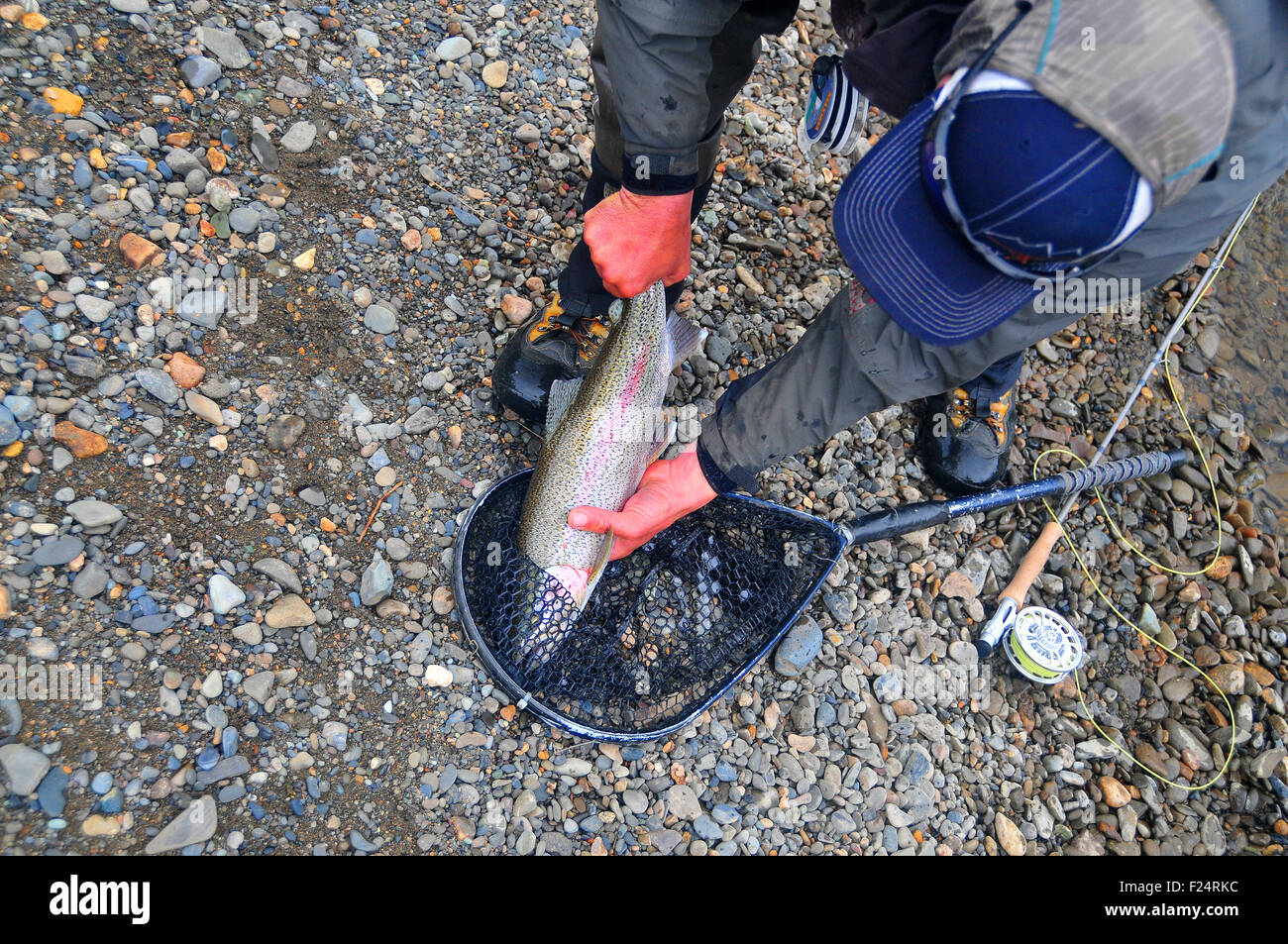 Alaska's Aniak River and its braids offer great fly fishing for rainbow