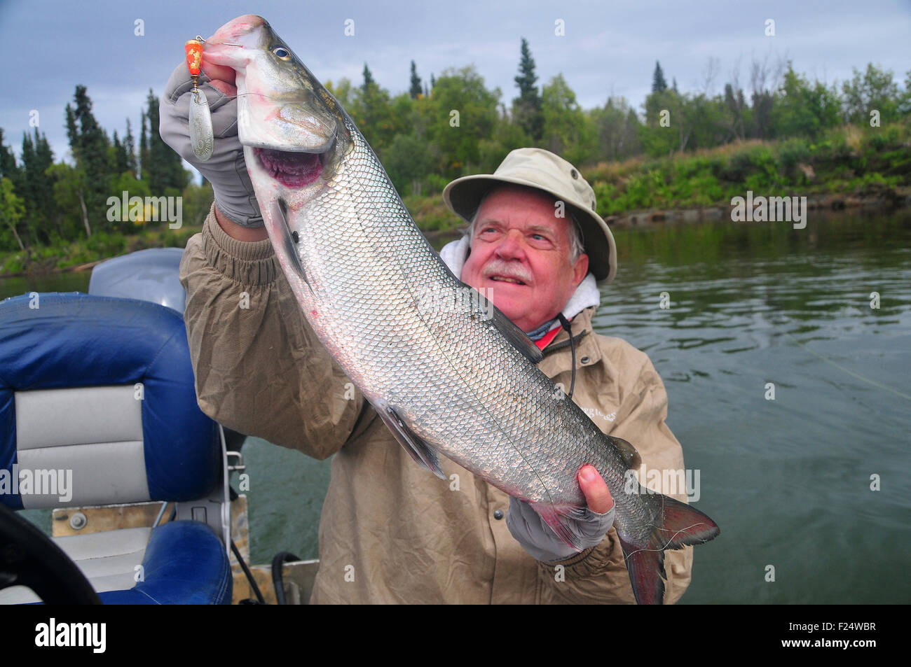 Alaska's Aniak River and its braids offer great fishing for sheefish in
