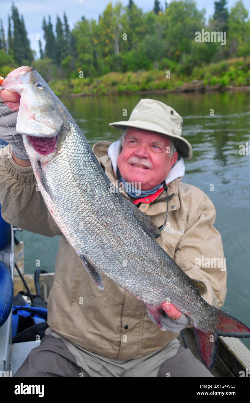 Alaska's Aniak River and its braids offer great fishing for sheefish in