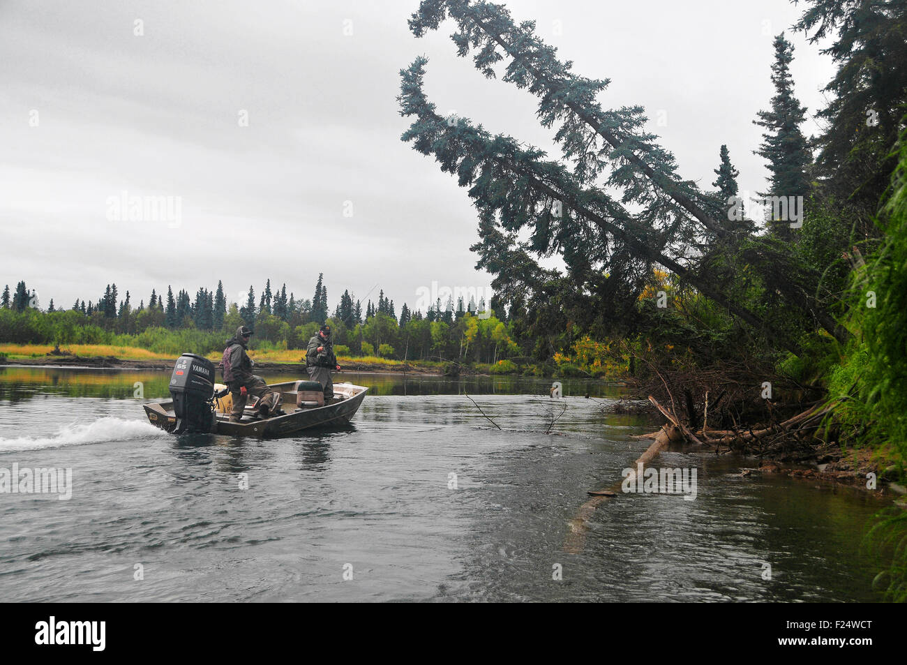 Alaska's Aniak River and its braids offer great fly fishing for silver