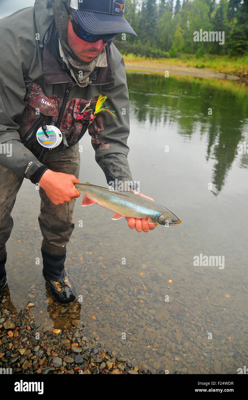 Alaska's Aniak River and its braids offer great fly fishing for dolly