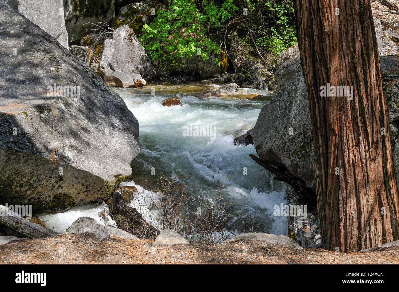 Rushing white water in a woodland river Stock Photo - Alamy