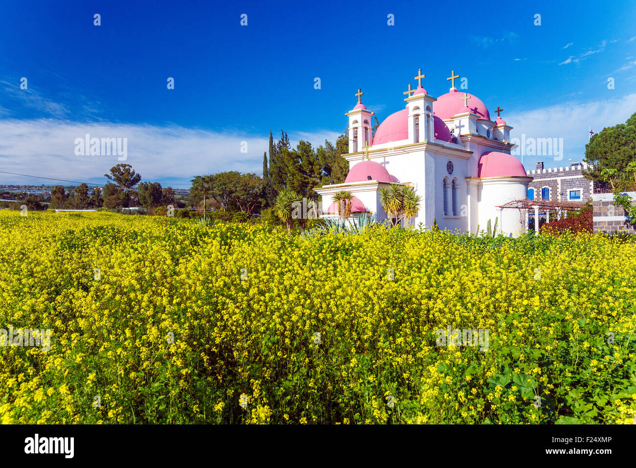 Page 5 Mustard Seed Harvest High Resolution Stock Photography And Images Alamy