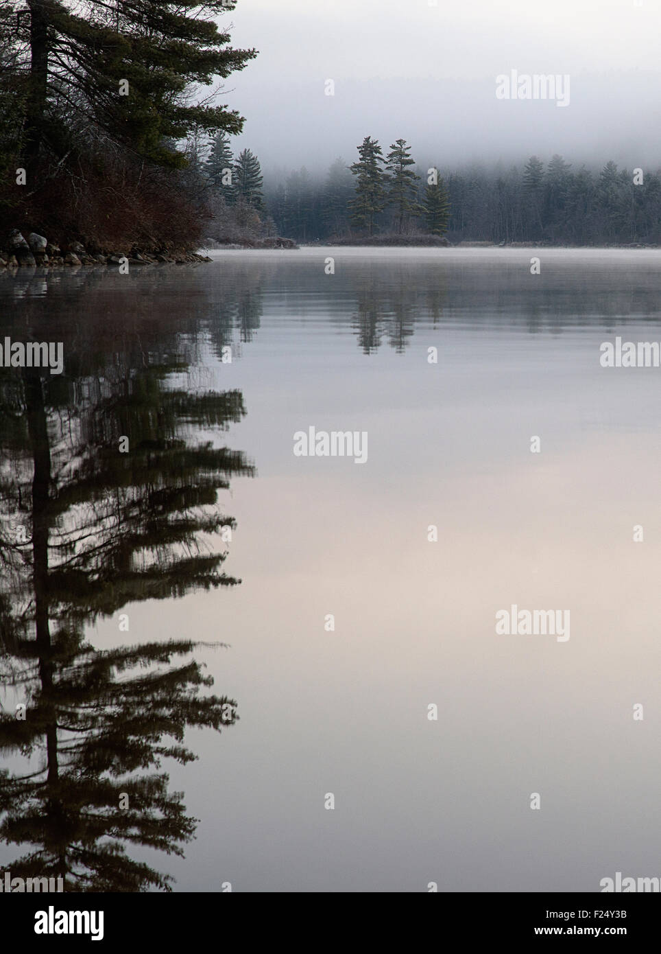 Dawn on Moose Pond, Maine. Steam is rising off the surface of the lake