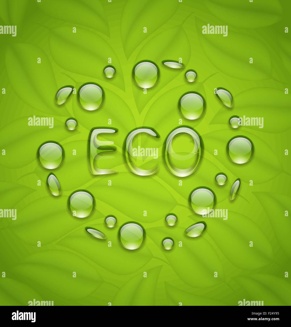 Eco friendly background with water drops on fresh green leaves t Stock ...