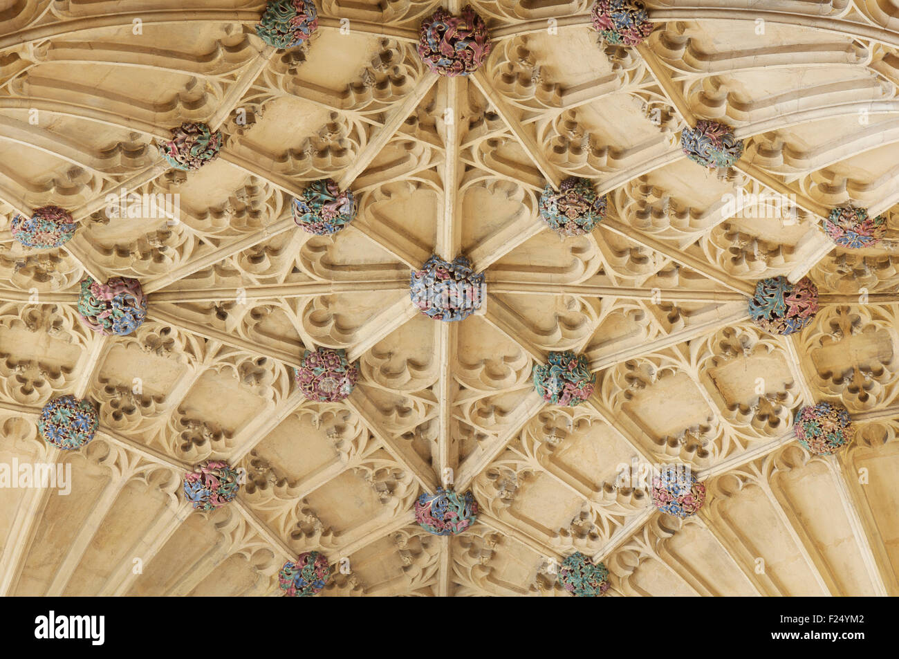 A detail of the colourful bosses of the ornate Gothic fan vaulted ceiling above the organ loft, Sherborne Abbey. Dorset, England, United Kingdom. Stock Photo