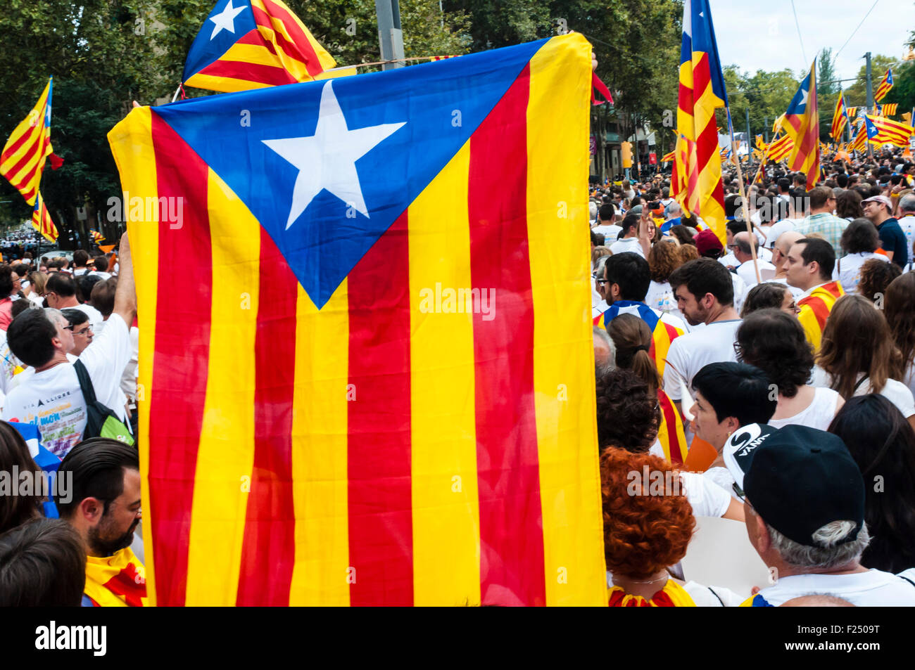 Barcelona , Catalonia, Spain . 11th Sep, 2015. Via Lliure to the Catalan Republic , independence mobilization organized by the Assemblea Nacional Catalana i Òmnium Cultural National Day of Catalonia . The independence demonstration convened hundreds of thousands of people in Barcelona Avenida Meridiana Credit:  Cisco Pelay / Alamy Live News Stock Photo