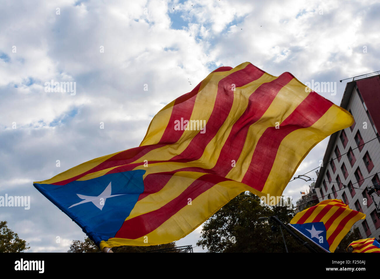 Barcelona , Catalonia, Spain . 11th Sep, 2015. Via Lliure to the Catalan Republic , independence mobilization organized by the Assemblea Nacional Catalana i Òmnium Cultural National Day of Catalonia . The independence demonstration convened hundreds of thousands of people in Barcelona Avenida Meridiana Credit:  Cisco Pelay / Alamy Live News Stock Photo