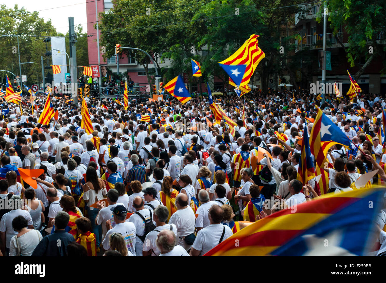 Barcelona , Catalonia, Spain . 11th Sep, 2015. Via Lliure to the Catalan Republic , independence mobilization organized by the Assemblea Nacional Catalana i Òmnium Cultural National Day of Catalonia . The independence demonstration convened hundreds of thousands of people in Barcelona Avenida Meridiana Credit:  Cisco Pelay / Alamy Live News Stock Photo