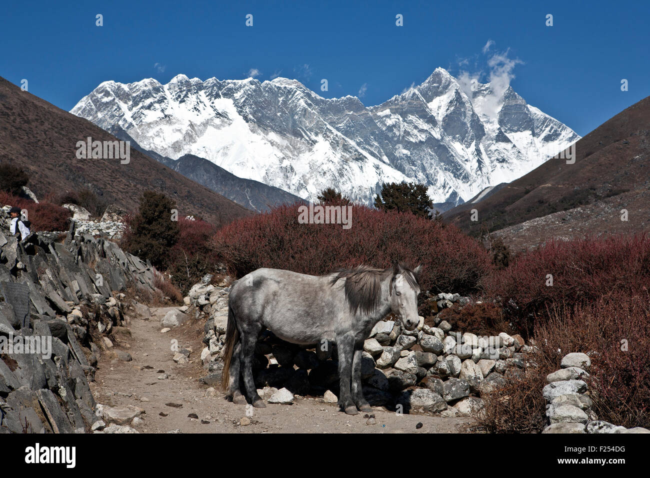 Majestic mountain ridge as seen in Dingboche surroundings Lhotse and Nuptse peaks in Khumbu region Everest valley Nepal Stock Photo