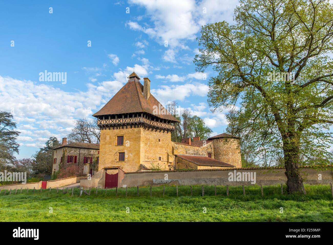 France, Loire, Saint Pierre la Noaille, castle of Brionnais Stock Photo