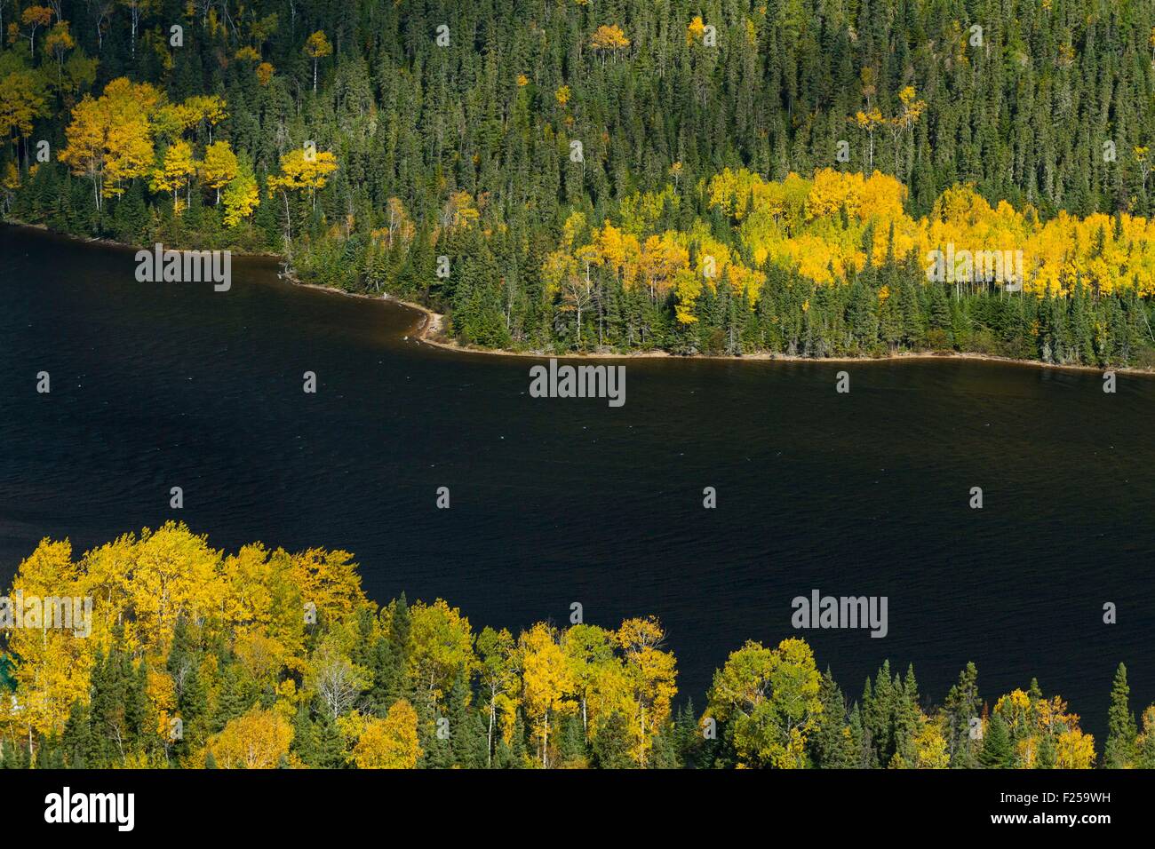 Canada, Quebec province, Saguenay Lac Saint Jean, Lac des Ha! Ha!, Lake and  forest in autumn Stock Photo - Alamy