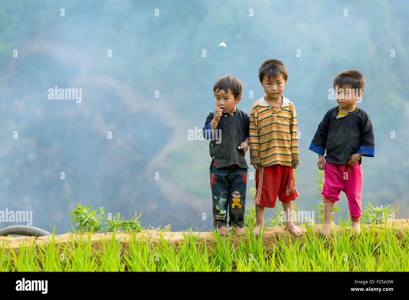 Vietnam, Yen Bai province, Mu Cang Chai District, La Pan Tan, children near the rice plantations Stock Photo