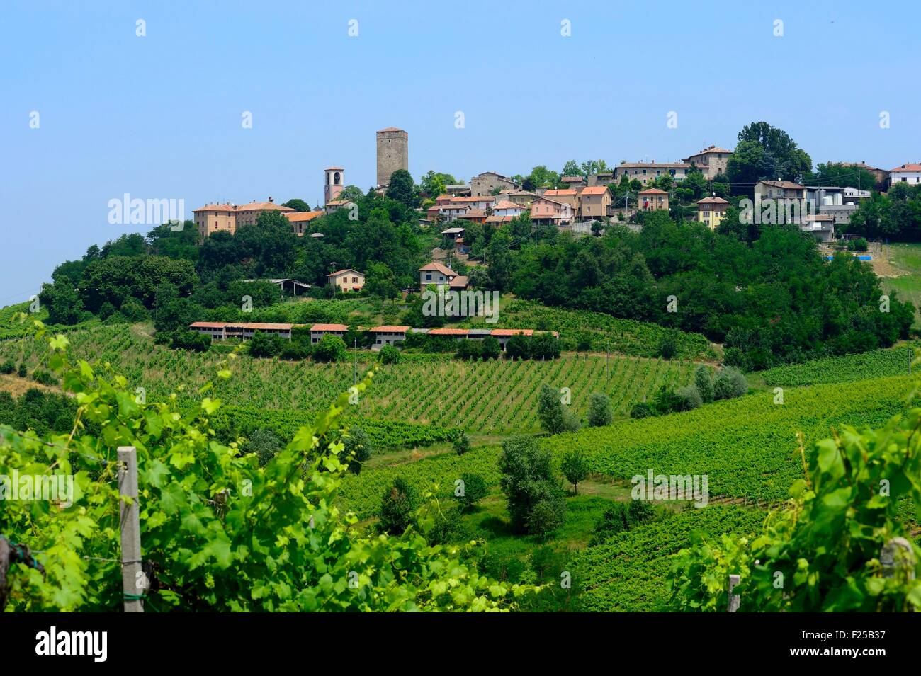Italy, Lombardy, Oltrepo Pavese vineyard, Santa Maria della Versa Stock Photo