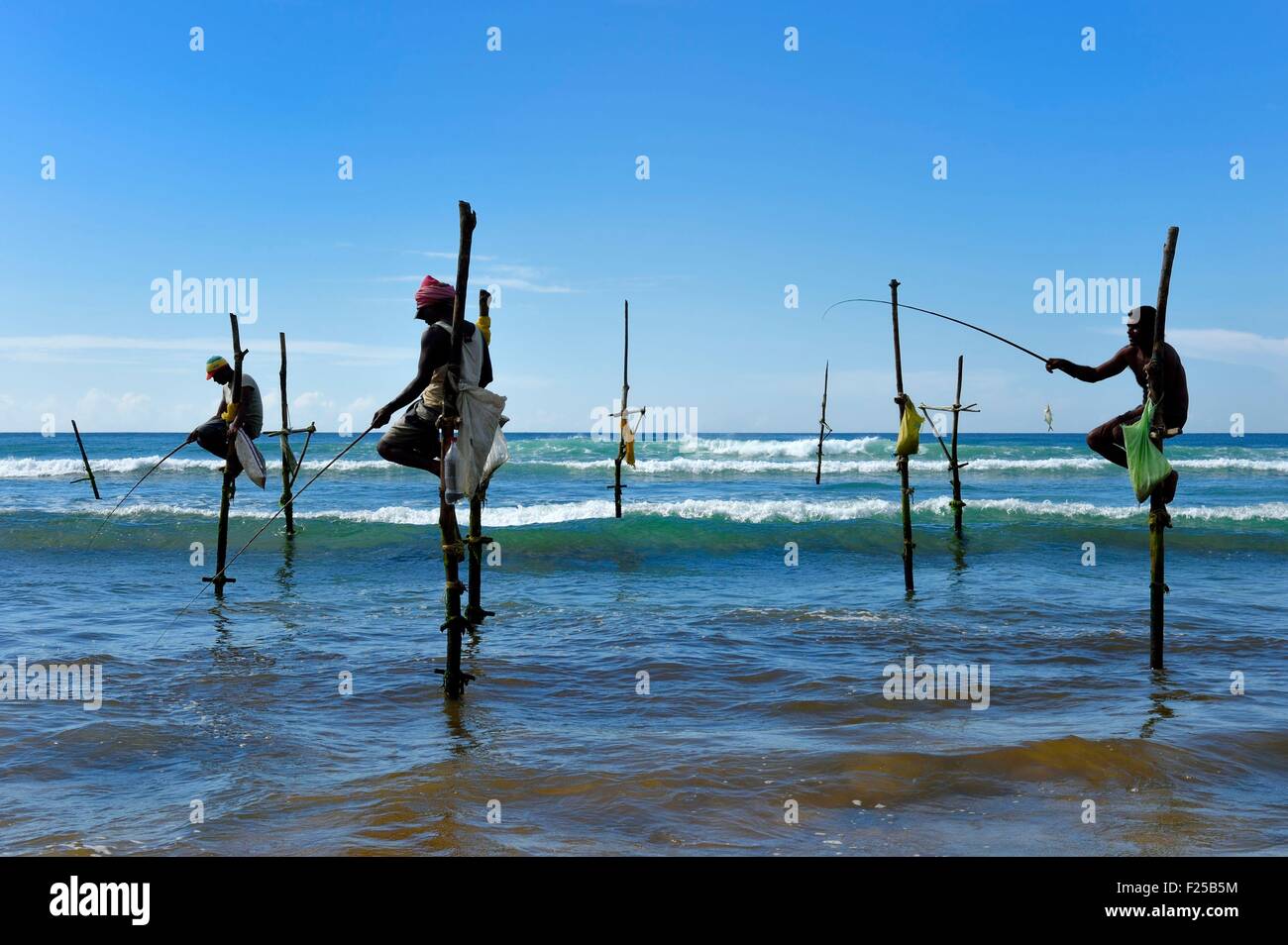 Sri Lanka, Southern Province, Galle district, Midigama beach, Pole