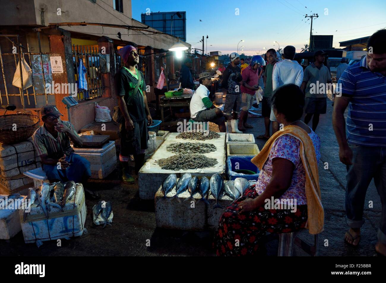 Sri Lanka, Western Province, Negombo, the port fish market Stock Photo