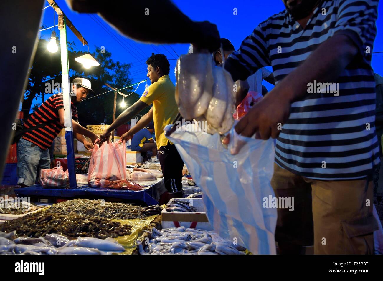 Sri Lanka, Western Province, Negombo, the port fish market Stock Photo