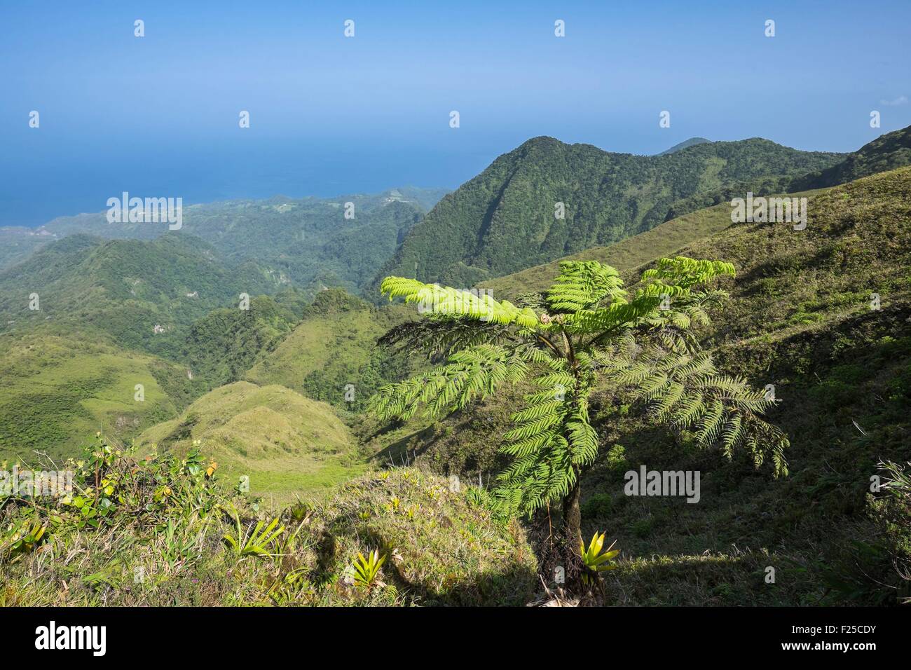 France, Martinique, Mount Pelee, active volcano at the northern end of the island Stock Photo