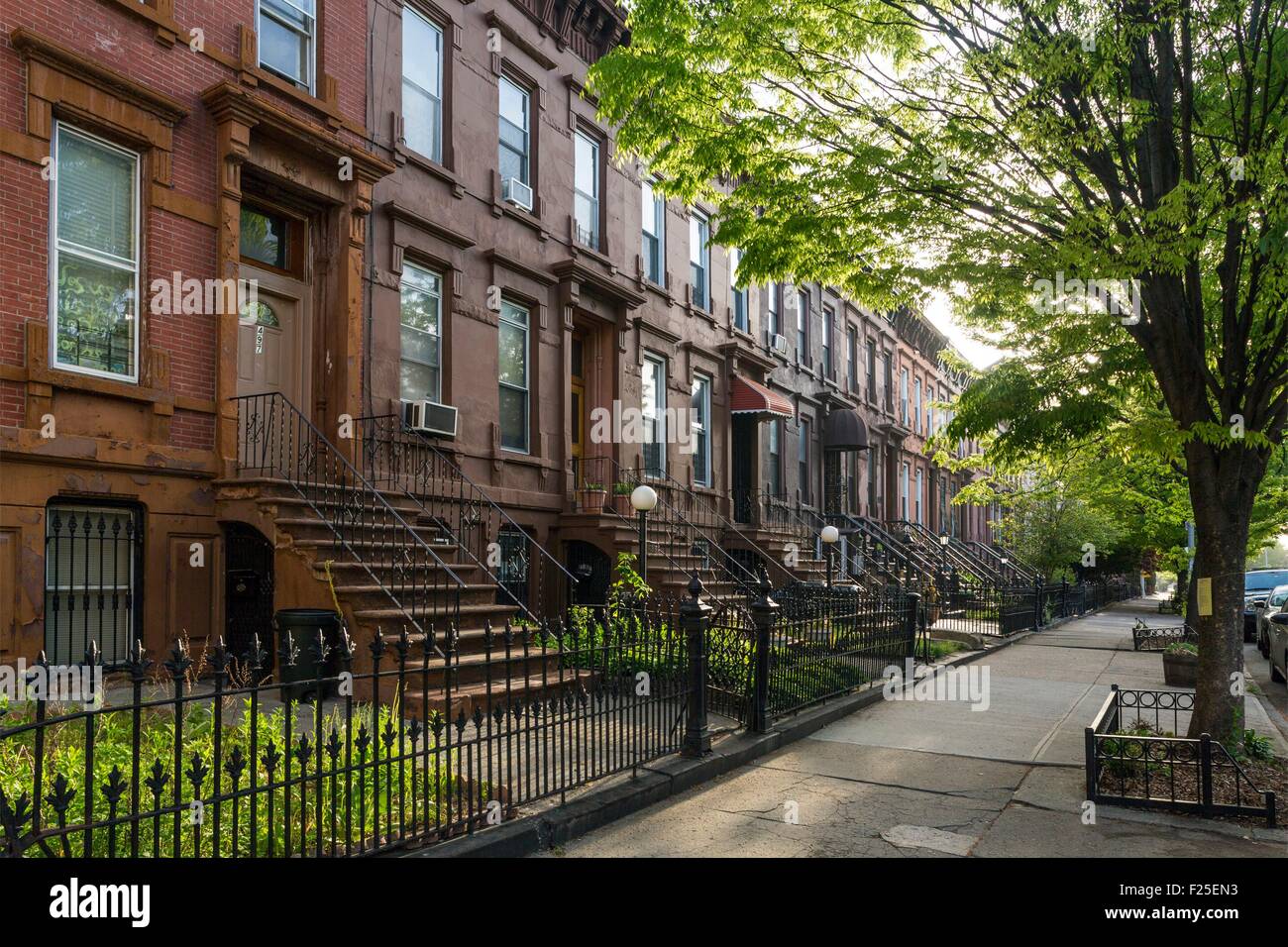 United States, New York, Brooklyn, Bedford Stuyvesant neighborhood Bed Stuy,  street and its brownstone townhouses Stock Photo - Alamy