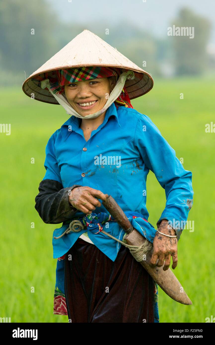Vietnam, Lai Chau province, woman in a paddy field Stock Photo