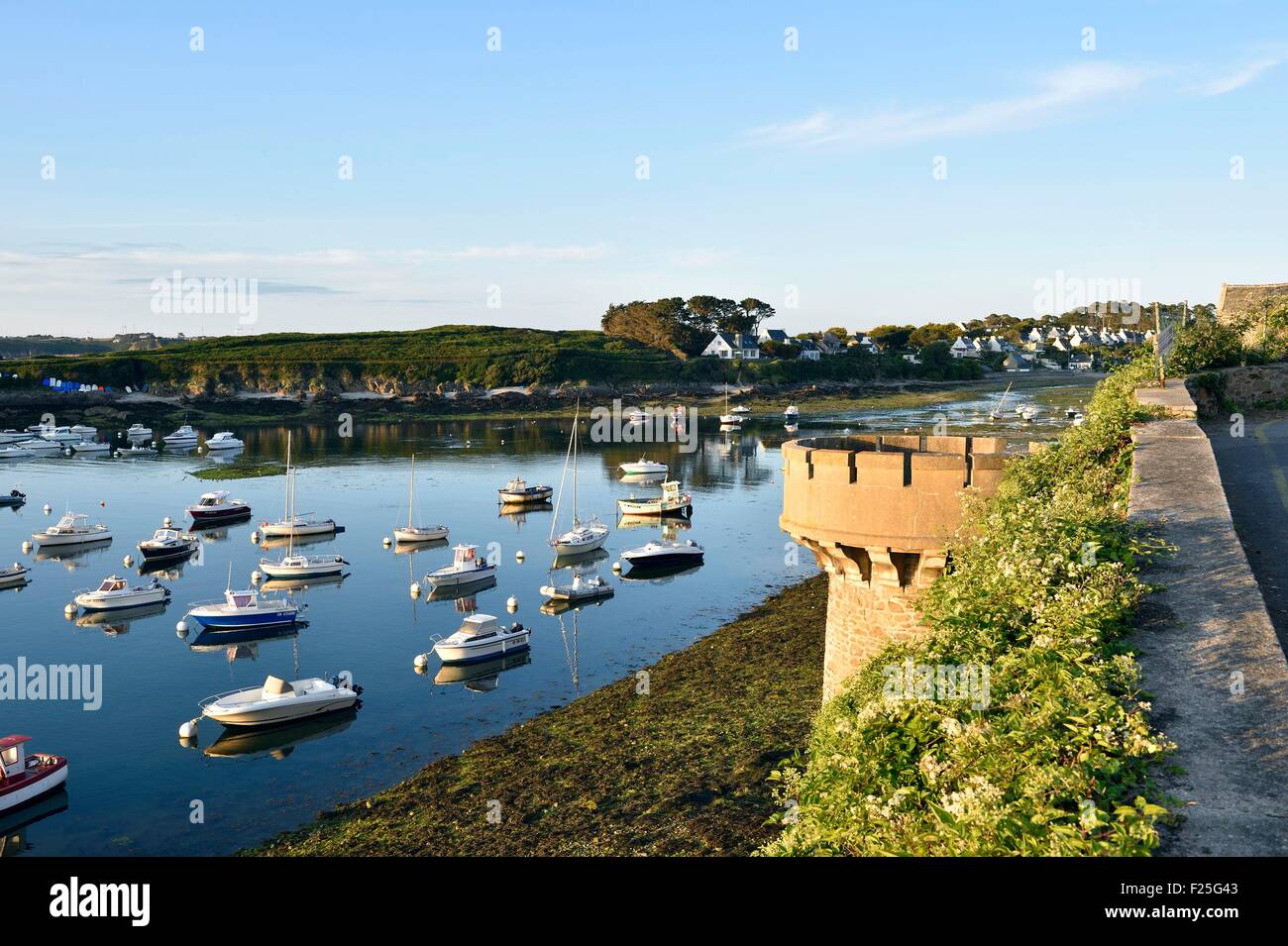 France, Finistere, Iroise see, Armorique Regional natural park, Le