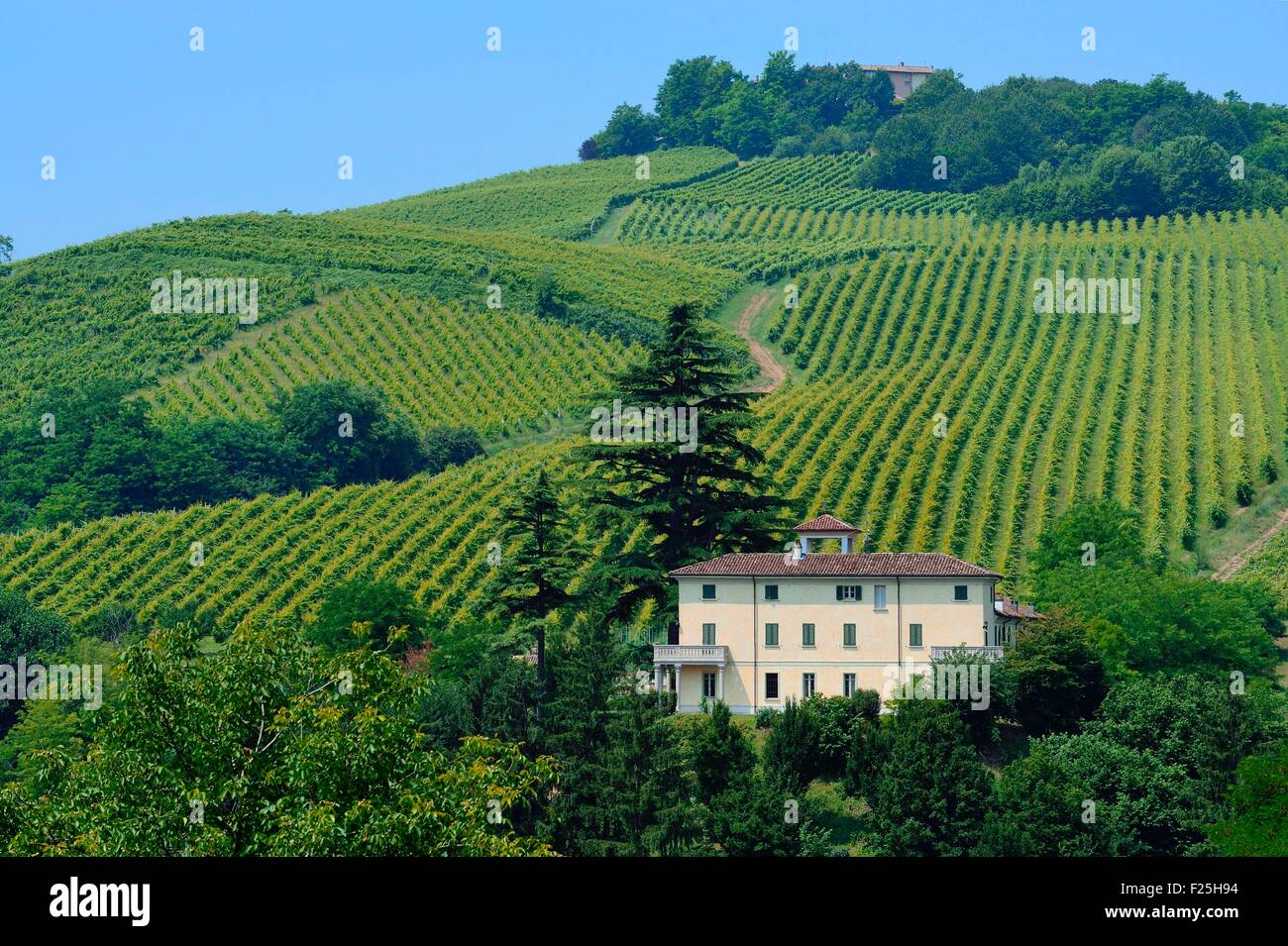 Italy, Lombardy, Oltrepo Pavese vineyard, Montescano castle Stock Photo -  Alamy