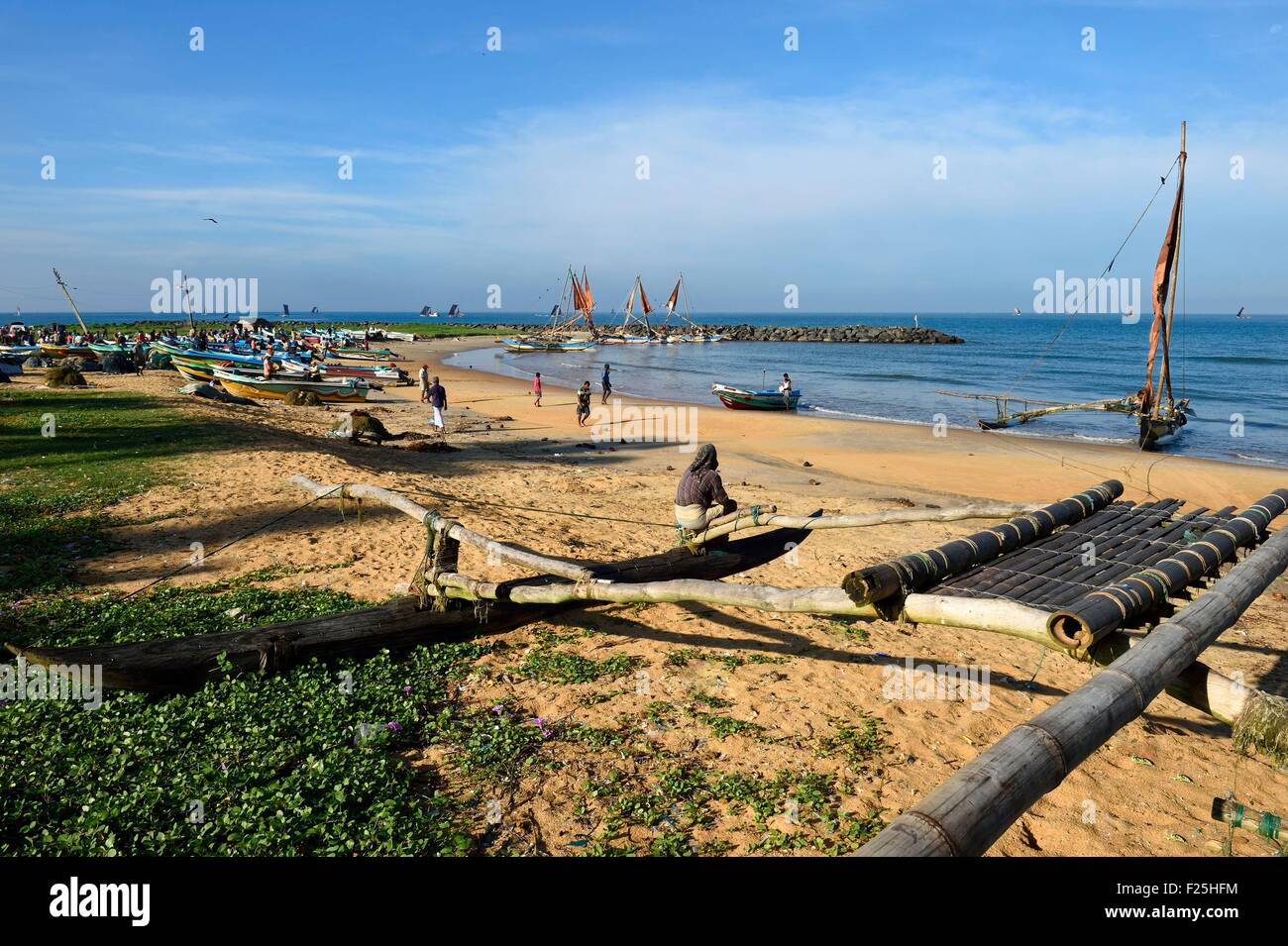 Sri Lanka, Western Province, Negombo, return of the fishermen and their traditional catamarans after the morning fishing on Porathota beach Stock Photo