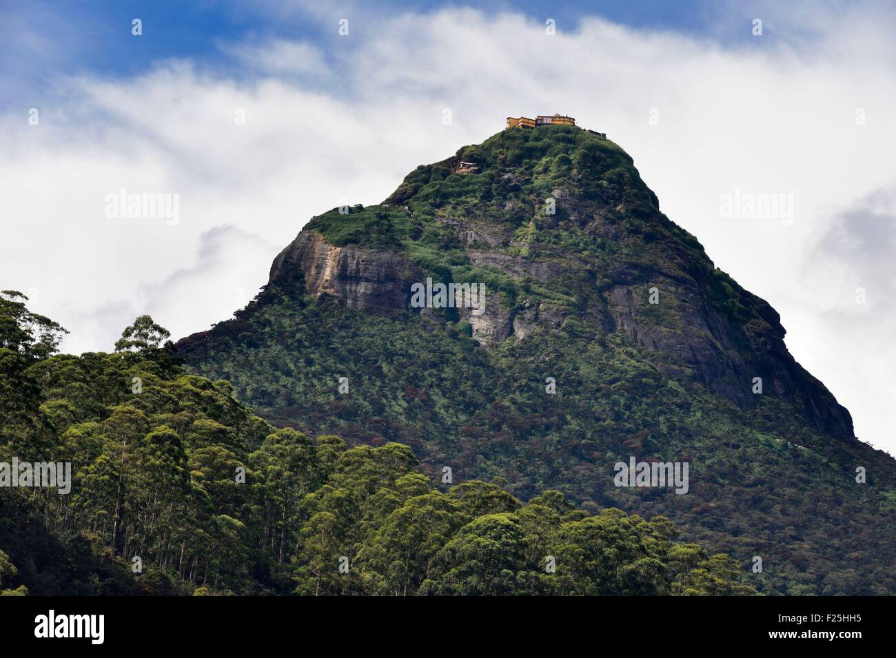 Sri Lanka, center province, Dalhousie, Adam's Peak Stock Photo