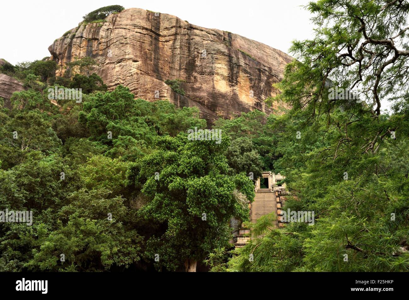 Sri Lanka, North Western Province, the citadel of Yapahuwa staircase, ephemeral capital of the country in the13th century Stock Photo