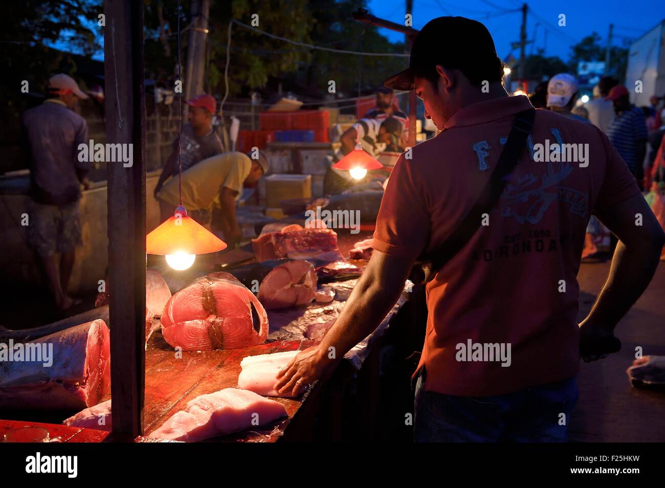 Sri Lanka, Western Province, Negombo, the port fish market Stock Photo