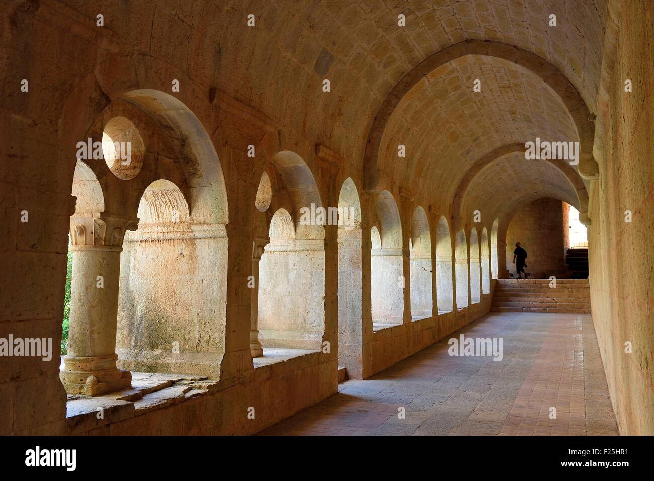 France, Var, the Thoronet cistercian abbey, the cloister Stock Photo