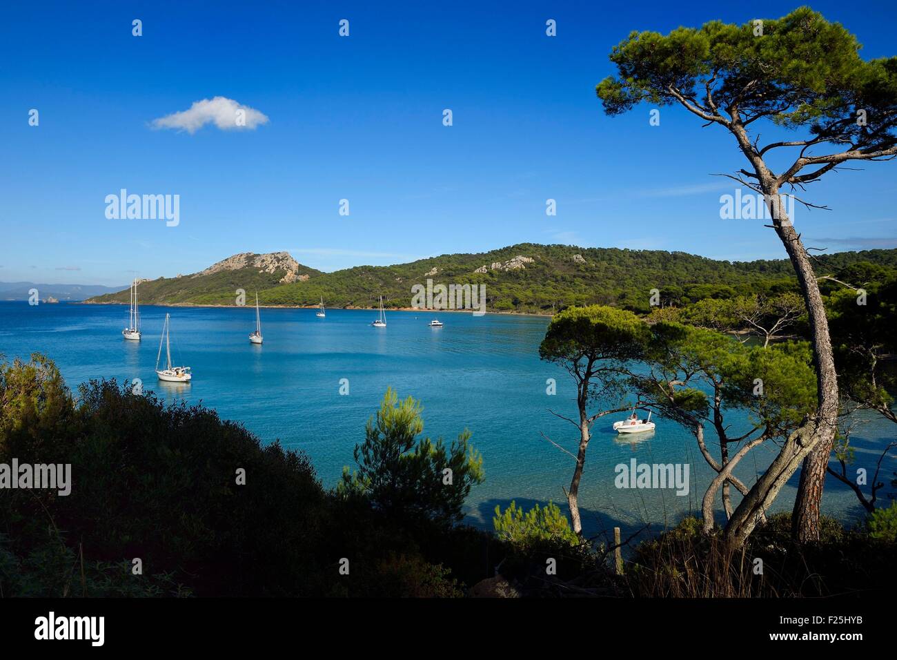 France Var Iles D Hyeres Parc National De Port Cros National Park Stock Photo Alamy France Var Iles D Hyeres Parc National De Port Cros National Park Stock Photo Alamy