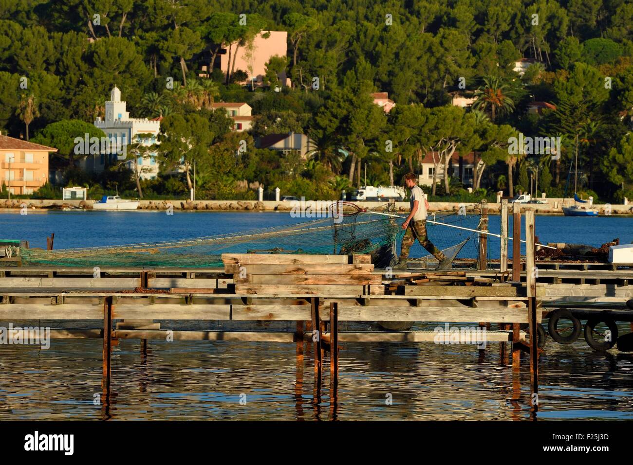 France, Var, the Rade (Roadstead) of Toulon, La Seyne-sur-Mer, mussels and oysters Park, aquaculture farm Stock Photo