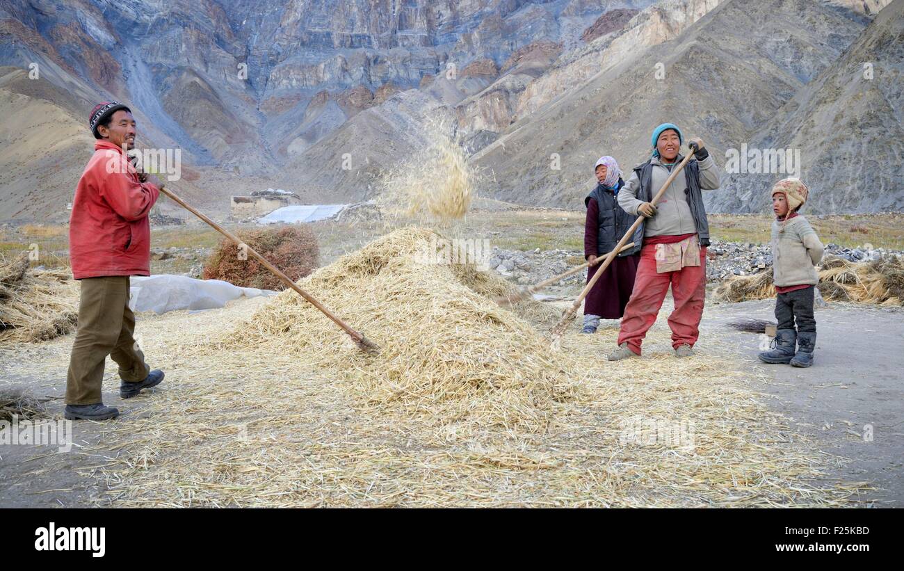 India, Jammu and Kashmir State, Himalaya, Ladakh, Zanskar, wind