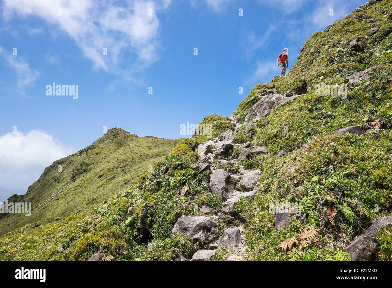 France, Martinique, Mount Pelee, active volcano at the northern end of