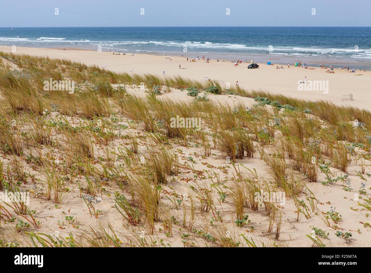 France, Landes, Moliets et Maa, dunes Stock Photo