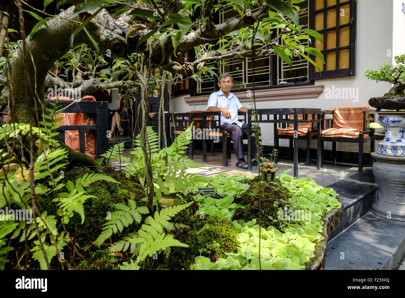 Vietnam, Thua Thien Hue province, Hue, Bonsai Cafe Stock Photo Alamy