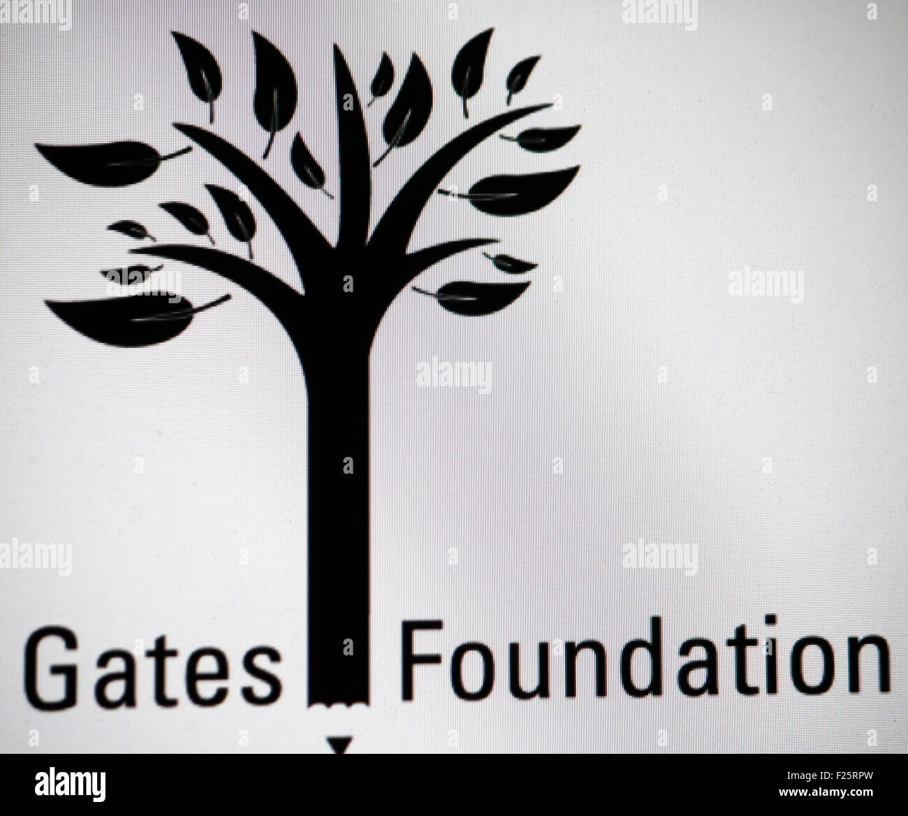 Bill gates foundation hires stock photography and images Alamy