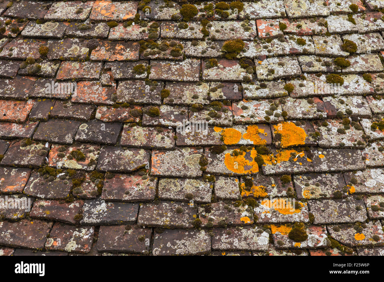 Weathered Terracotta Roof Tiles Stock Photo Alamy