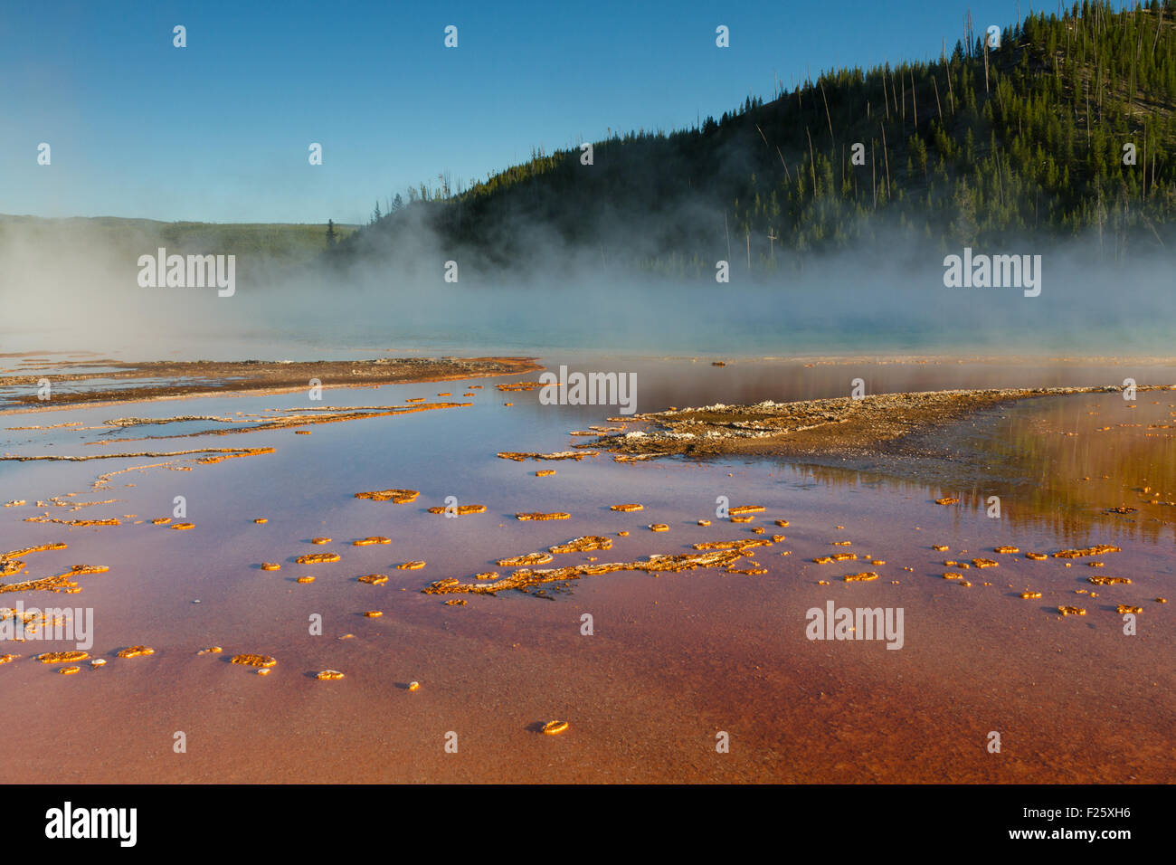 Grand Prisamtic Spring, Yellowstone National Park, Wyoming, USA Stock Photo