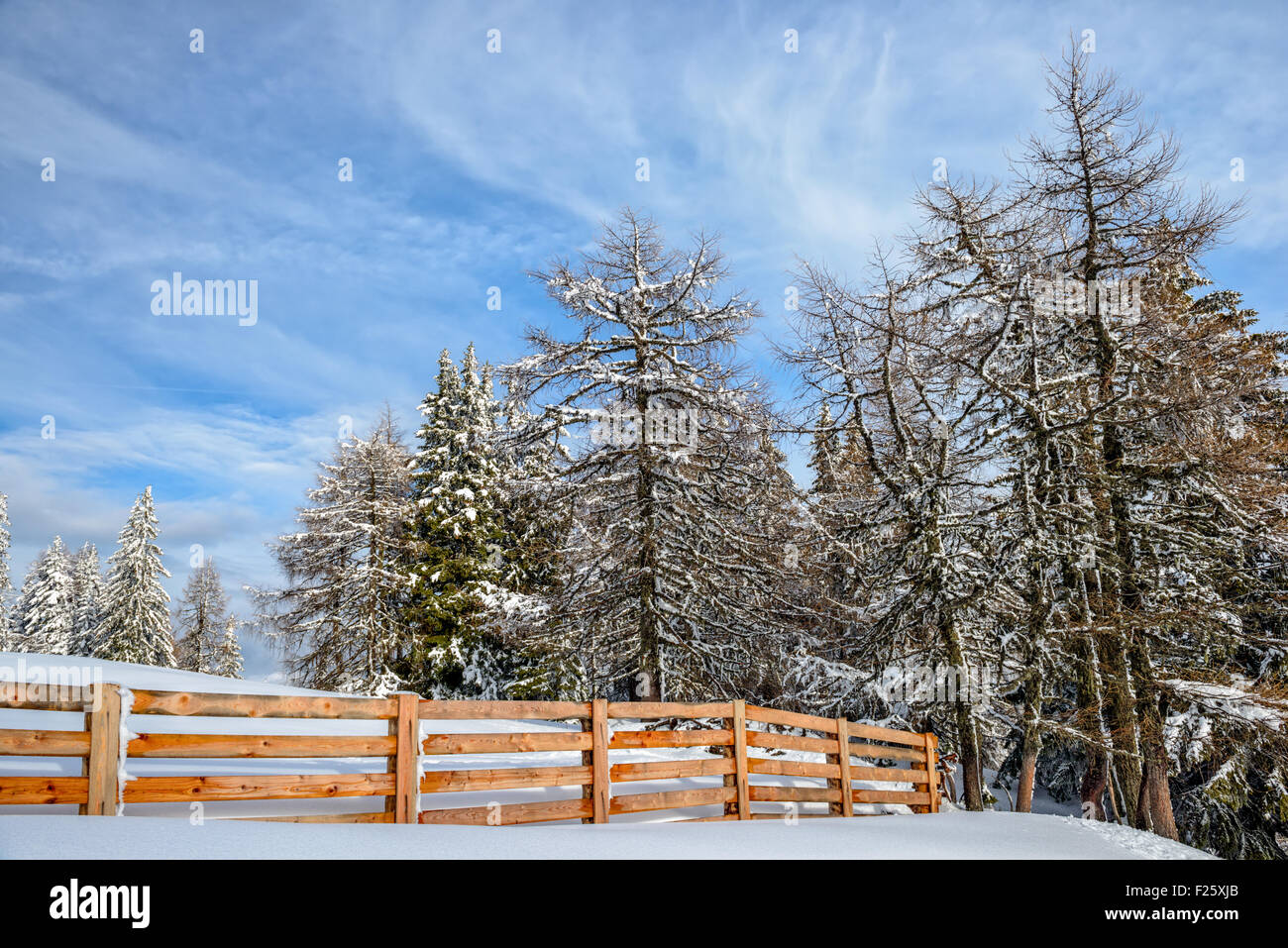 Winter forest and wood fence under cloudy blue sky Stock Photo - Alamy