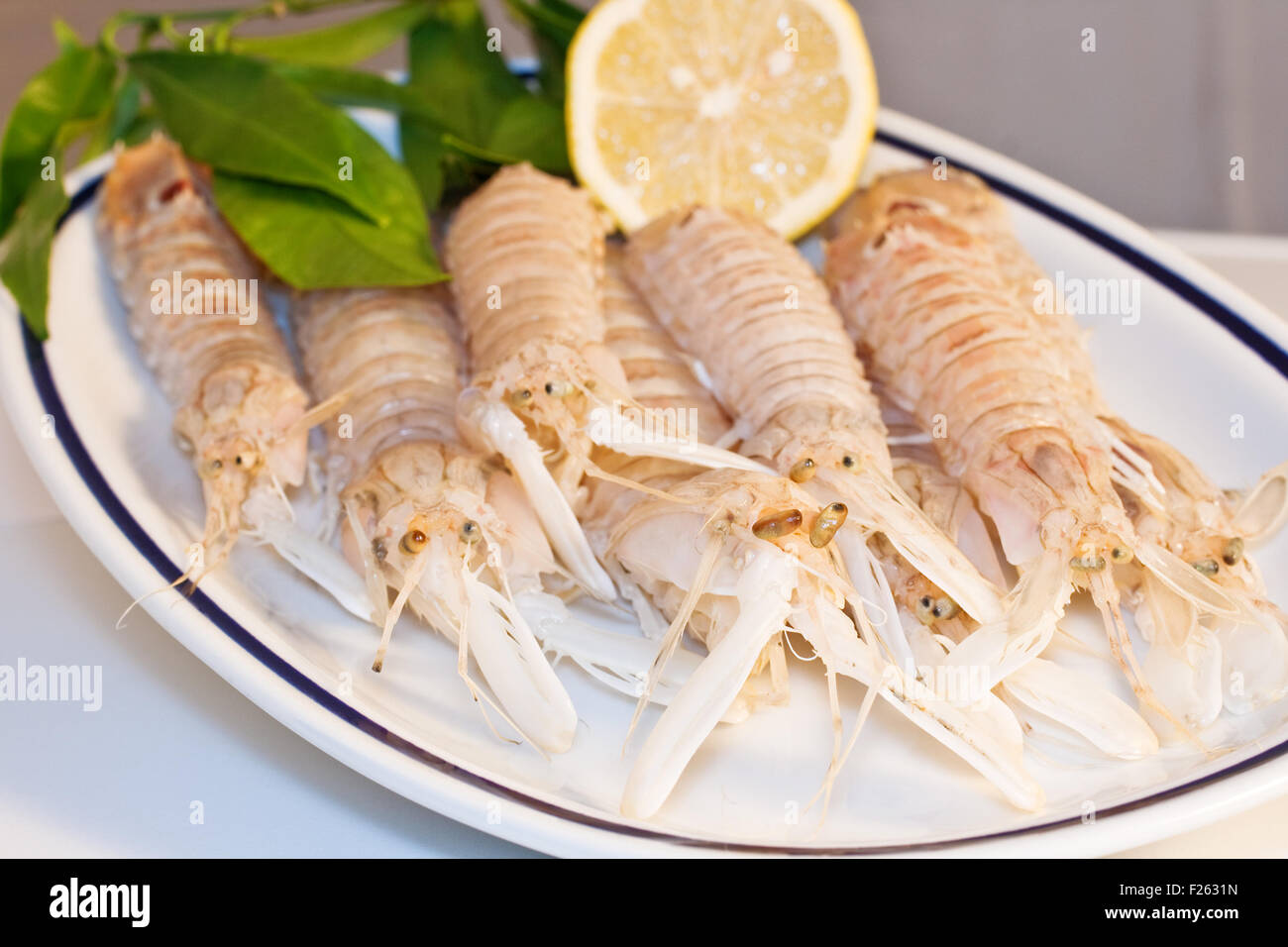 Squilla mantis, crustacean on a dish Stock Photo