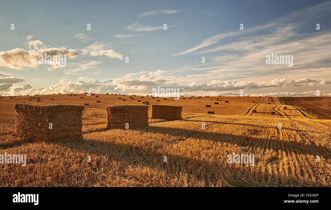 Hay Bales In The Late Summer Sun Stock Photo - Alamy