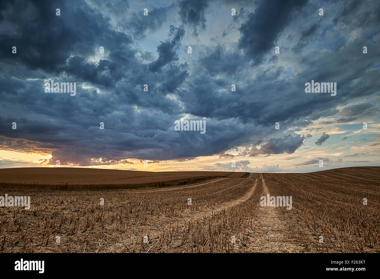 Storm Clouds Gather Over A Field Of Stubble Stock Photo