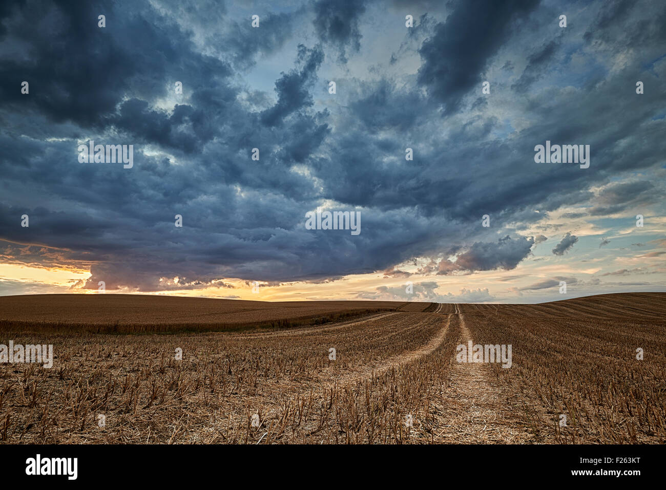 Storm Clouds Gather Over A Field Of Stubble Stock Photo - Alamy