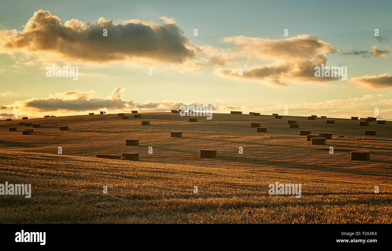 Hay Bales On A HIll In The Late Summer Sun Stock Photo - Alamy