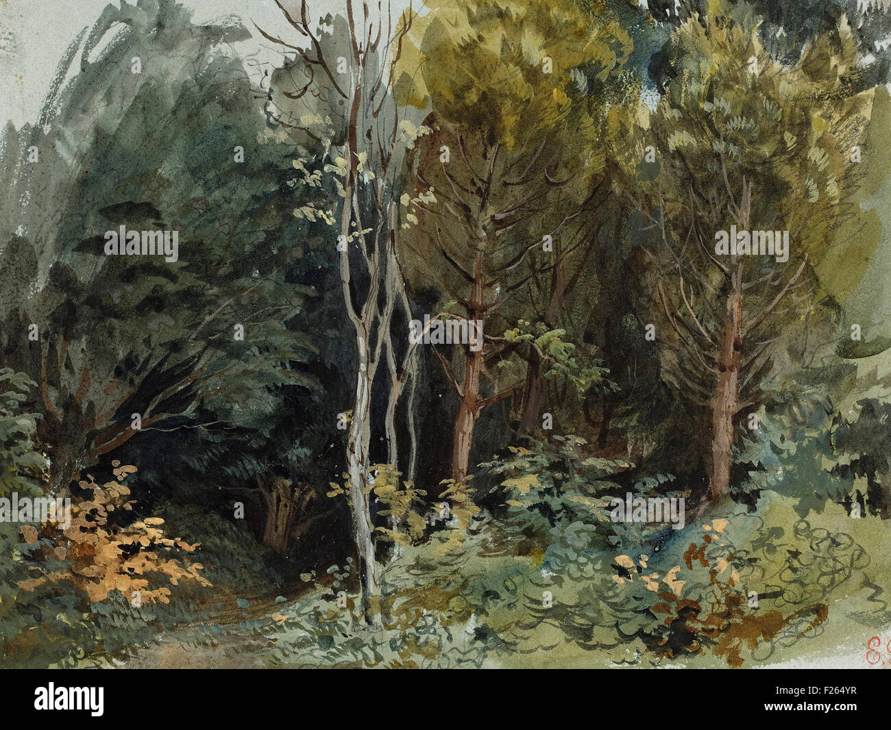 Eugène Delacroix The Edge of a Wood at Nohan Stock Photo Alamy