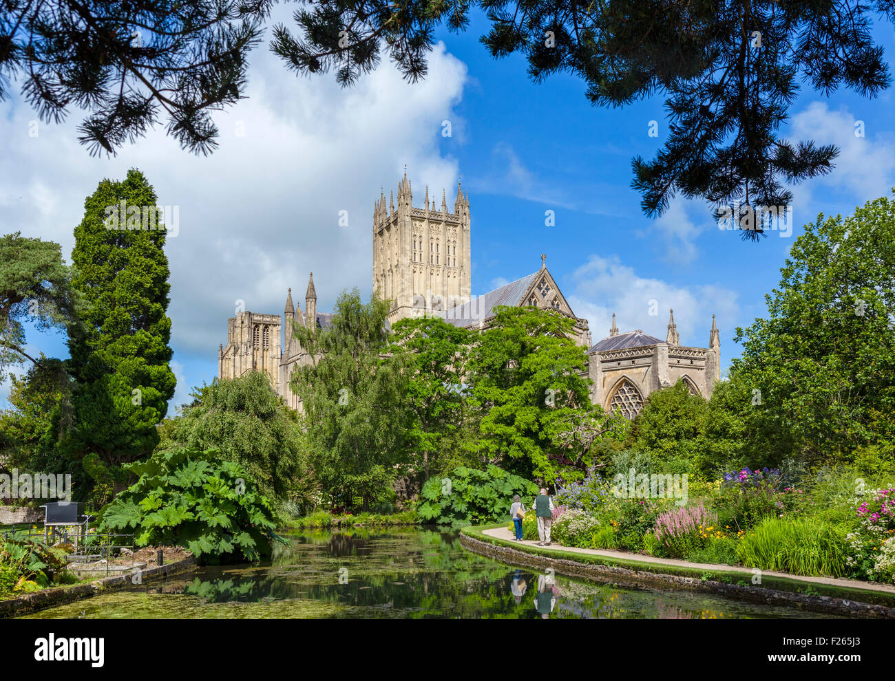 Wells Cathedral from the gardens of the Bishop's Palace with the moat in the foreground, Wells, Somerset, England, UK Stock Photo