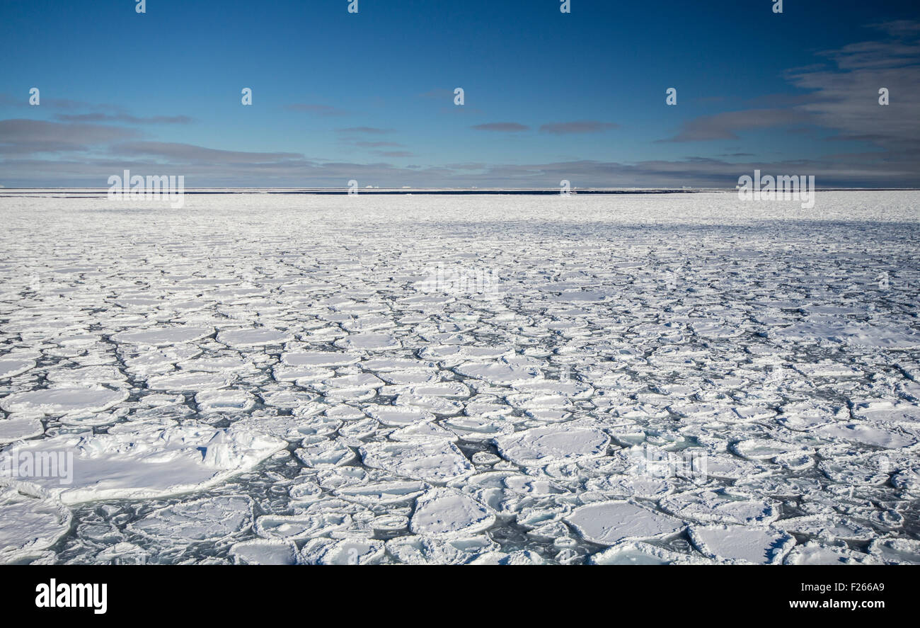 Pancake ice formations near South Sandwich Islands, Southern Ocean